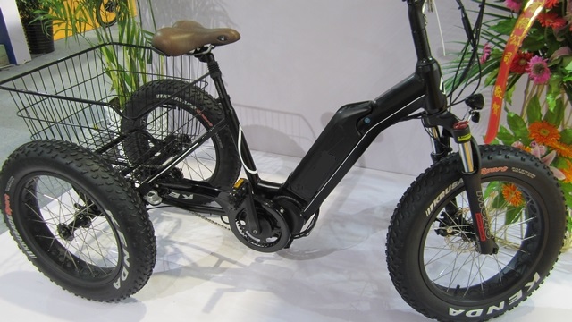 Electric Fat Tire Tricycle
